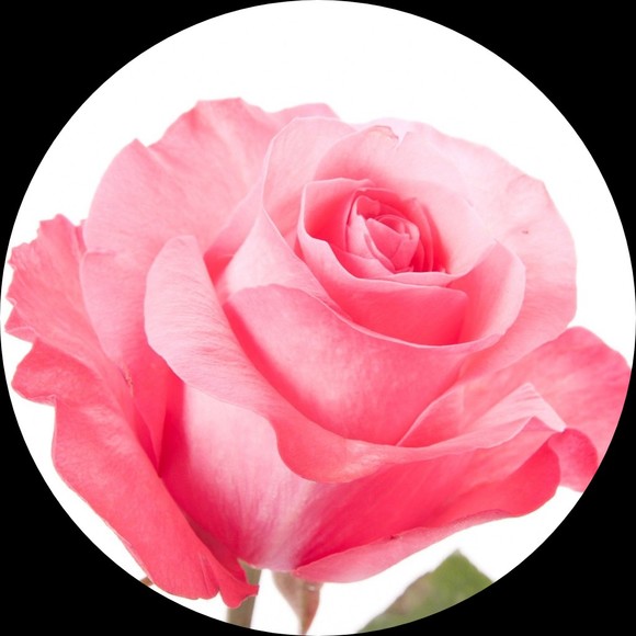 princesseva71